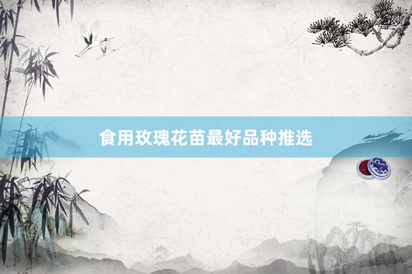 食用玫瑰花苗最好品种推选